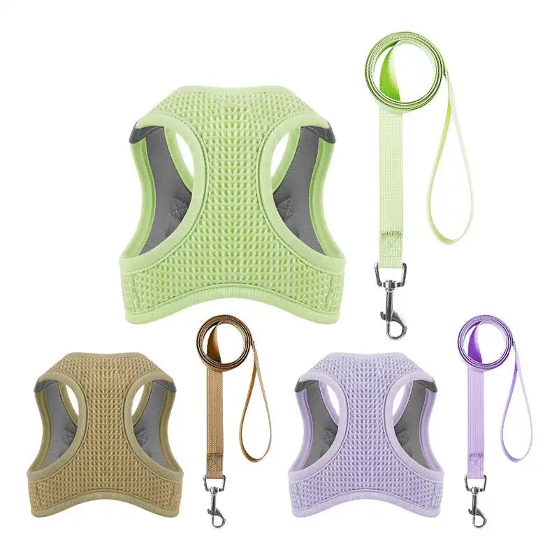Harnais et laisses anti-fuite pour chat, pour petit et moyen chien, respirant, réfléchissant, réglable, sangle de poitrine pour chaton, fournitures pour animaux de compagnie - HautePattes