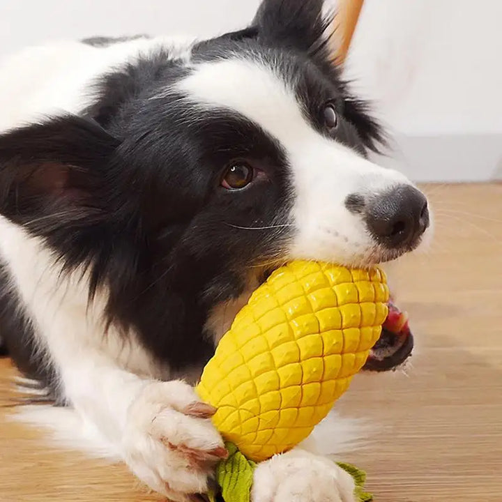 Jouet à mâcher pour chien en forme d’ananas - HautePattes