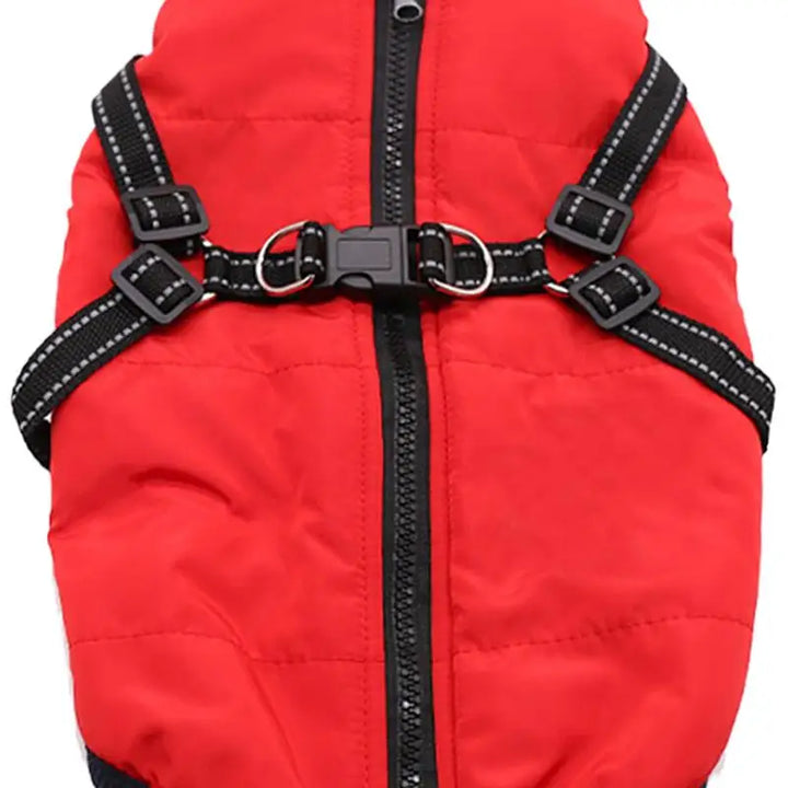 Manteau chaud avec harnais intégré – Hiver serein pour votre chien