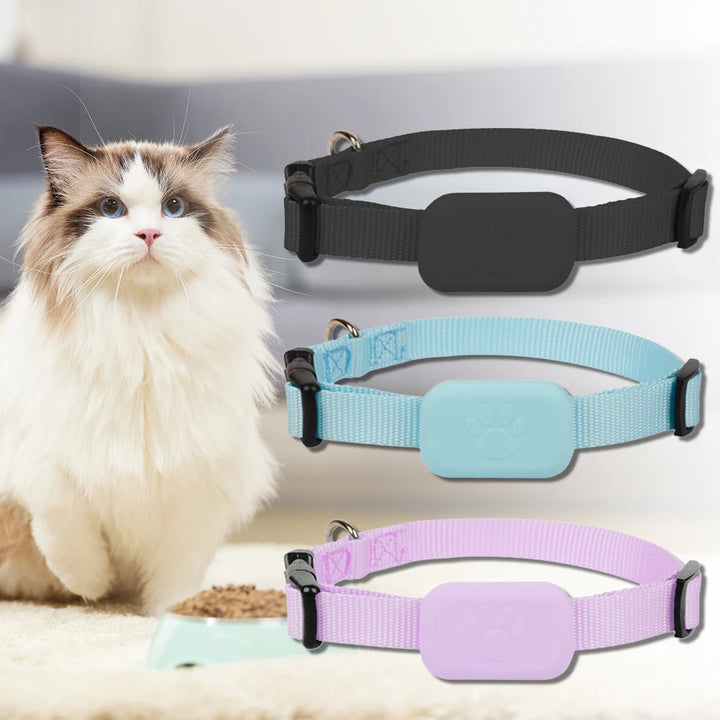 Collier GPS chien & chat : visible, localisable, et toujours retrouvable