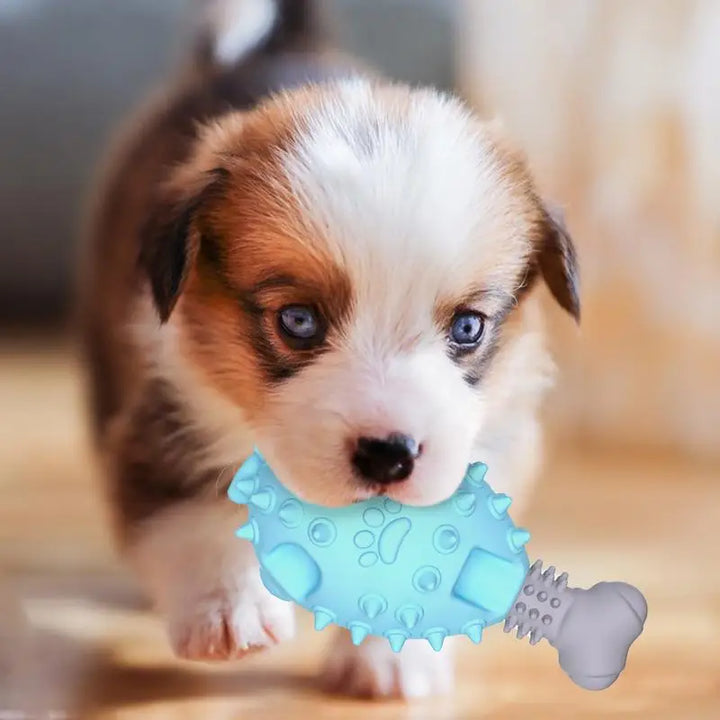 Jouet de dentition pour chien - HautePattes