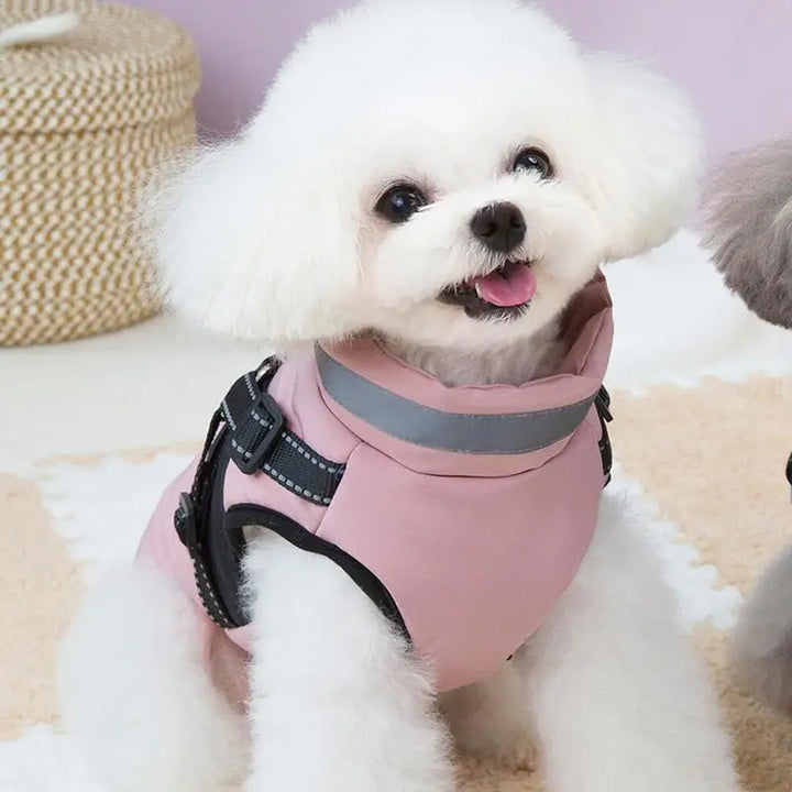 Manteau imperméable doublé pour chien stylé