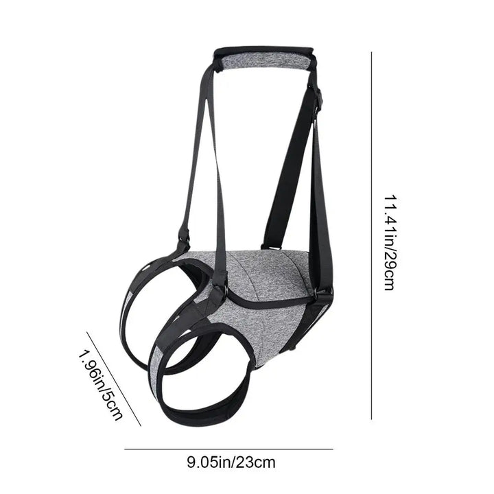 Harnais arrière pour chien âgé soutien doux et respectueux