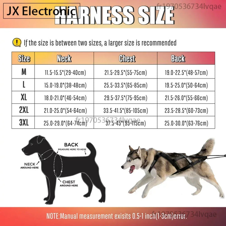 Harnais traction pour chien athlétique libre et puissant