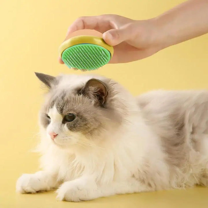 Brosse chat chien douce démêlante pour un toilettage sans stress