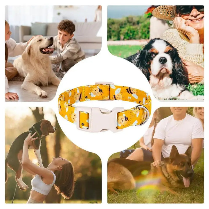 Collier chien coton jaune – Fun, confort et tendresse au cou