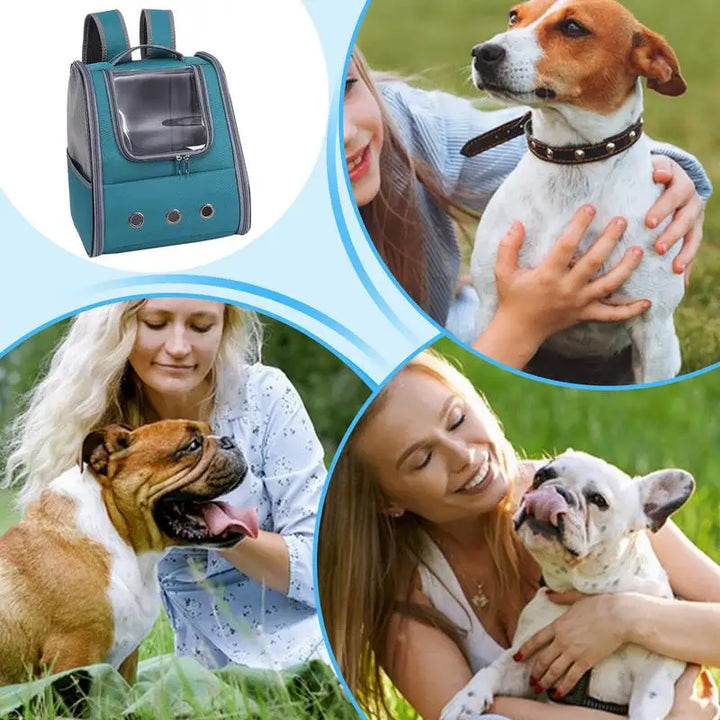 Sac transport pliable chien chat cocon sécurisé et léger