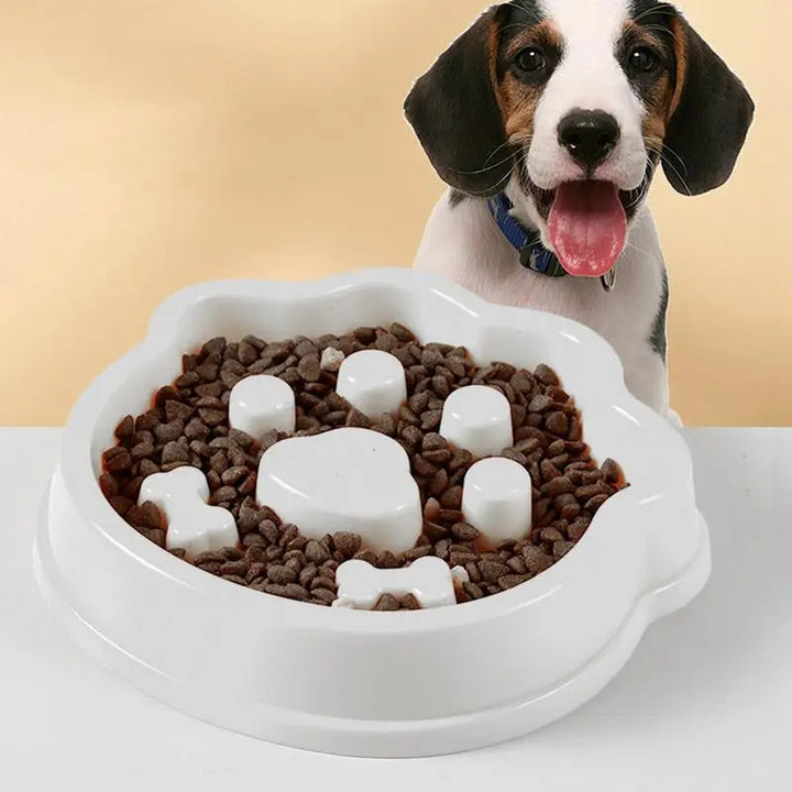 Gamelle anti-glouton pour chien – Mange mieux, digère mieux