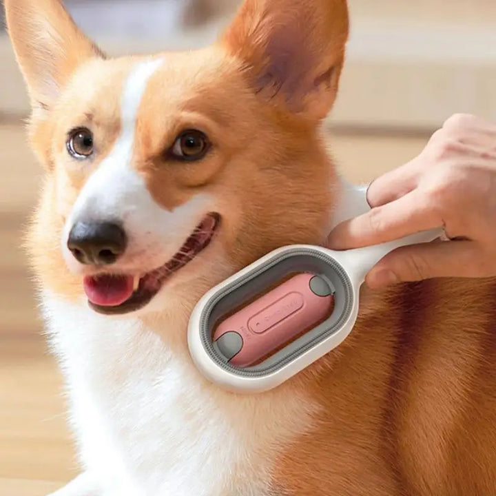 Peigne à poils 4-en-1 avec réservoir d’eau Chien et Chat - HautePattes