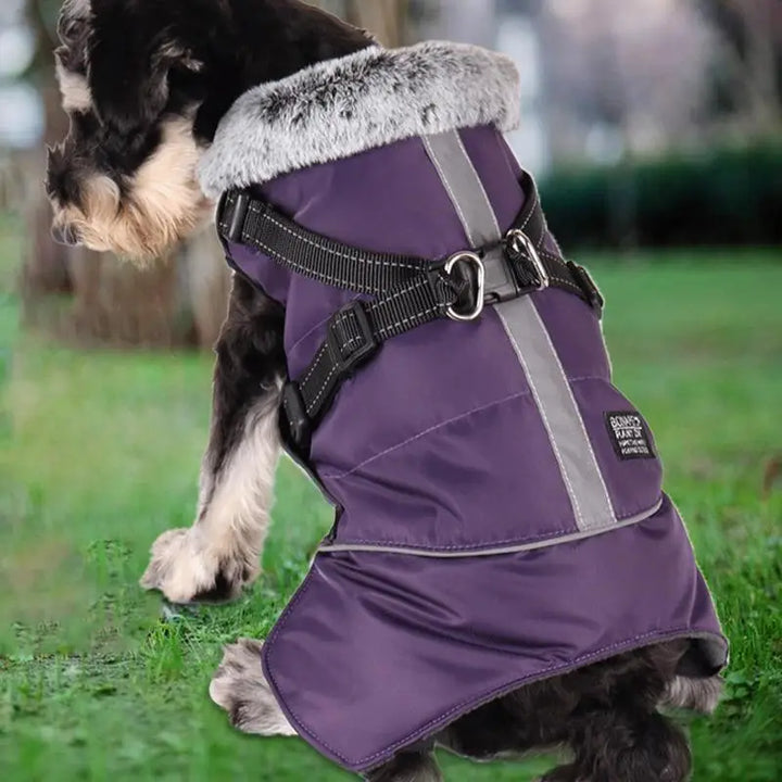 Manteau triple épaisseur avec harnais intégré et col chaud