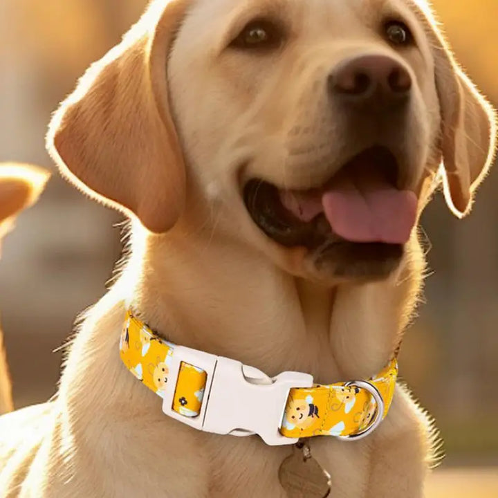 Collier chien coton jaune – Fun, confort et tendresse au cou