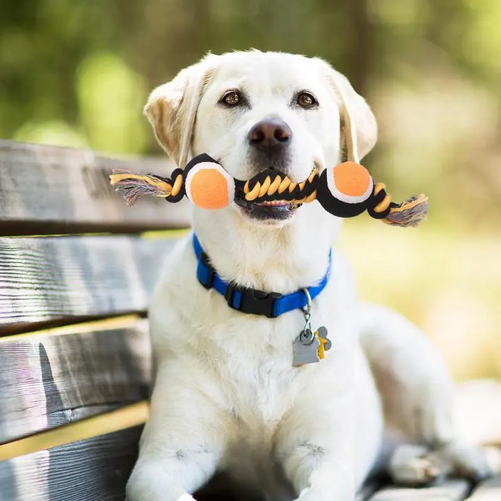 Jouet à Mâcher Double Bonbon de Tennis - HautePattes