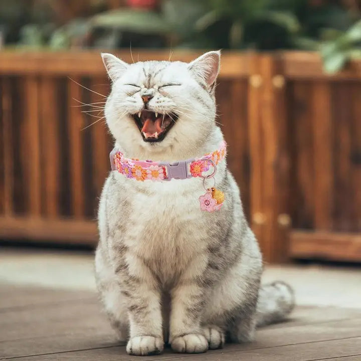 Collier chaton mignon – Pour les petits cœurs à quatre pattes