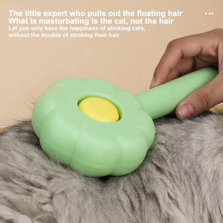 Brosse Tournesol premium - HautePattes