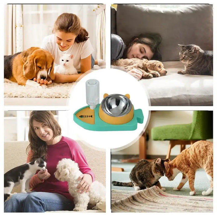 Gamelle 3-en-1 pour chat – Hydraté, bien nourri, en sécurité