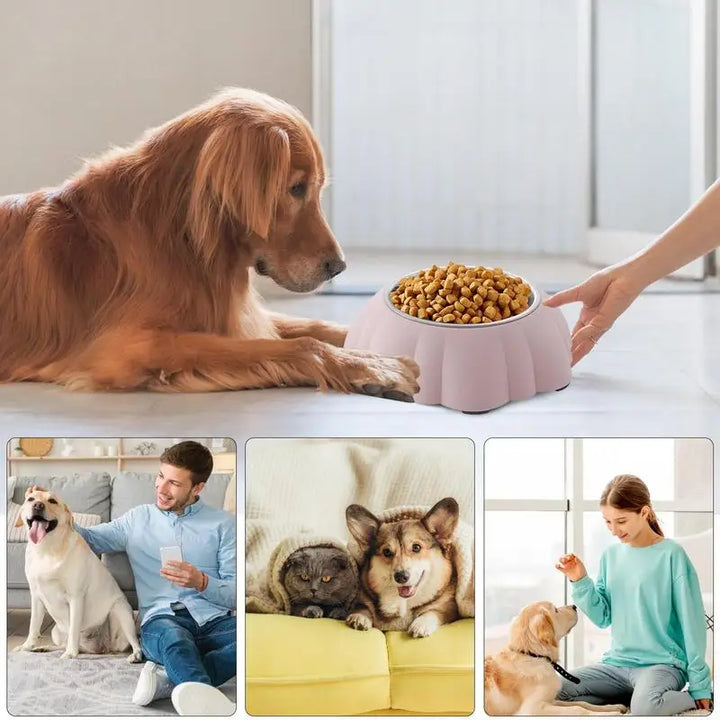 Gamelle inclinée chat – Manger sainement, tout simplement