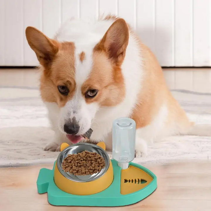 Gamelle 3-en-1 pour chat – Hydraté, bien nourri, en sécurité