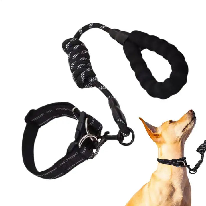 Collier réfléchissant chien – Pour les balades même dans l’ombre