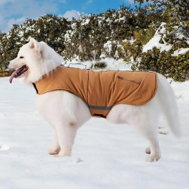 Manteau col roulé 4 pattes pour petit chien élégant