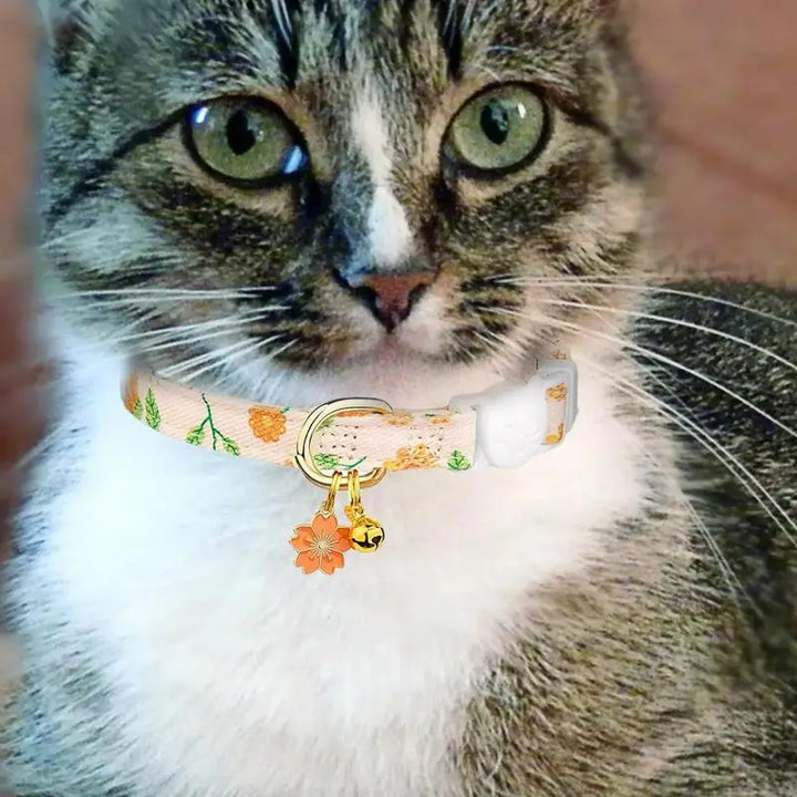 Collier fleuri chat & petit chien : tendre, sûr, et pensé comme un geste d’amour