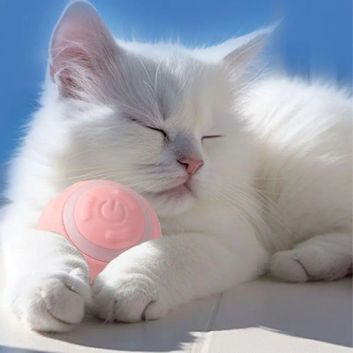 Balle Interactive Intelligente pour Chien - HautePattes