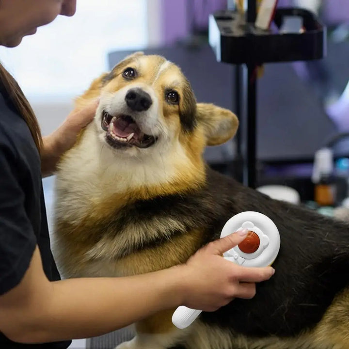 Brosse de Massage & Lime à Ongles Électrique 2-en-1 - HautePattes