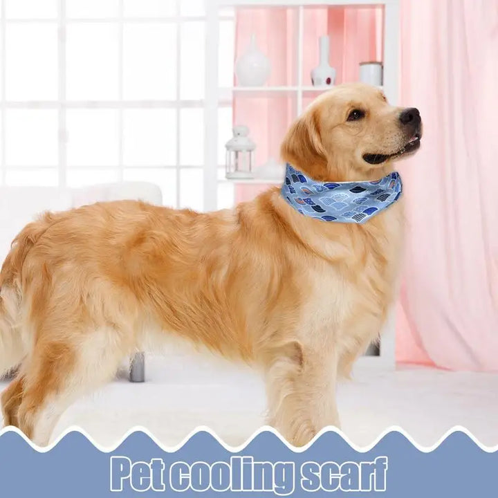Bandana rafraîchissant chien chat – Fraîcheur douce Soulagement immédiat