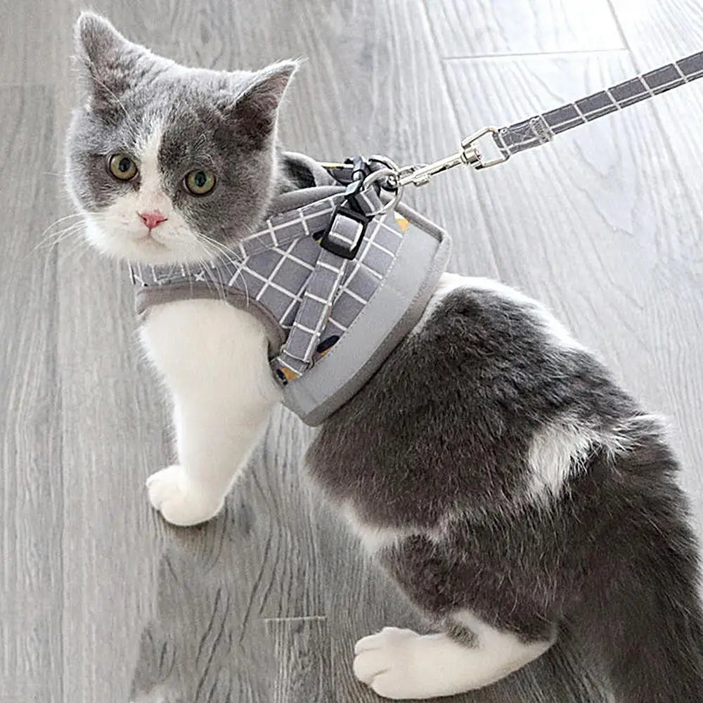 Harnais de Sécurité pour Chat Premium – Confort et Contrôle Réunis - HautePattes