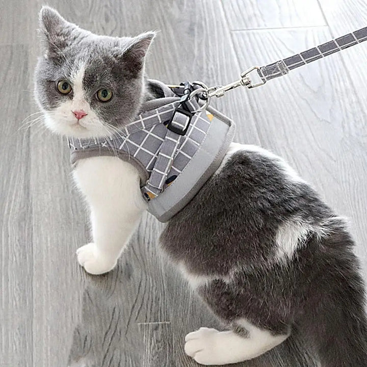 Harnais de Sécurité pour Chat Premium – Confort et Contrôle Réunis - HautePattes
