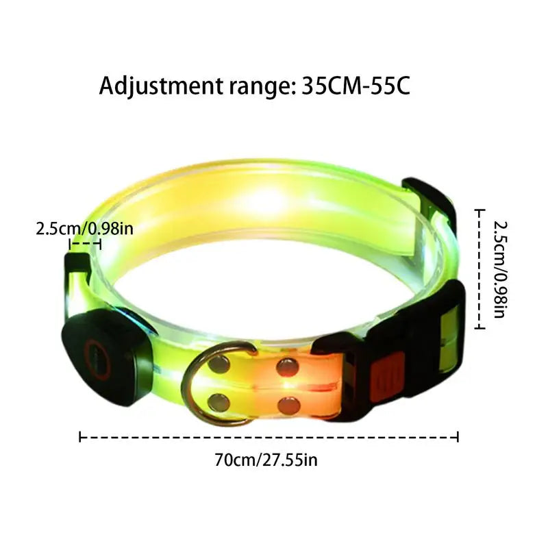 Collier lumineux chien : balades nocturnes en toute sécurité