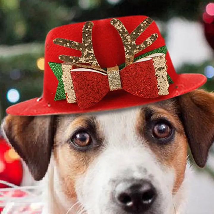 Chapeau rouge de Noël pour animaux de compagnie - HautePattes