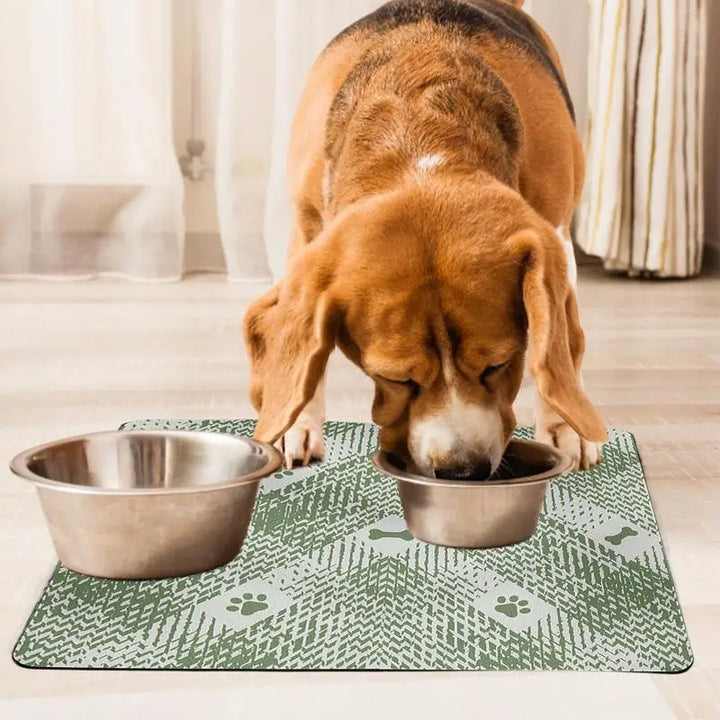 Tapis Sobre et Élégant pour Chien et Chat - HautePattes
