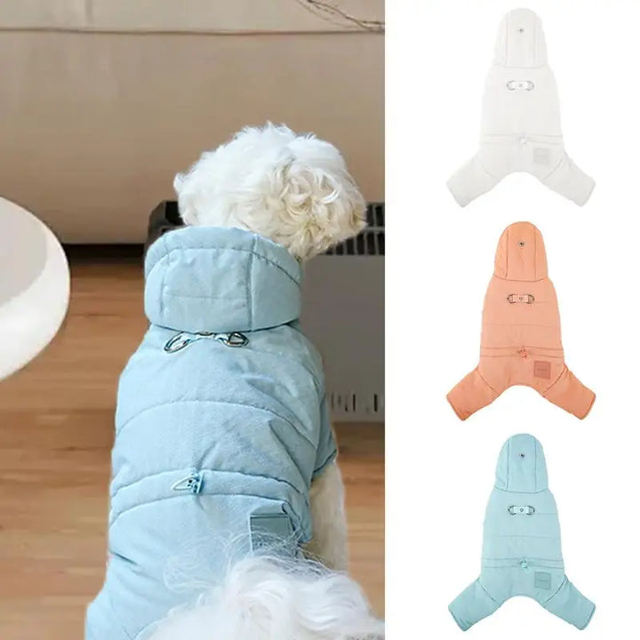 Manteau imperméable à capuche pour chien stylé et protégé