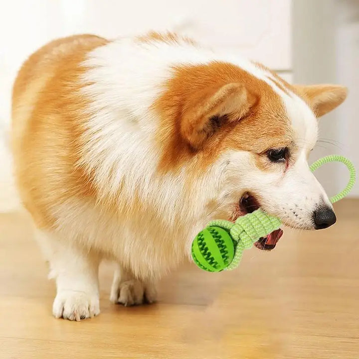 Balle à Corde Intelligente pour Chien - HautePattes