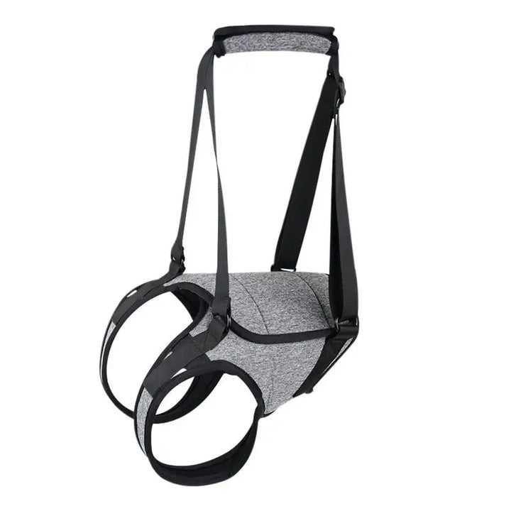 Harnais arrière pour chien âgé soutien doux et respectueux