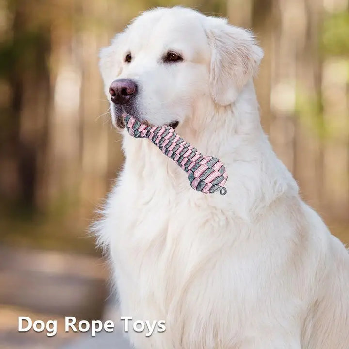 Jouet à Mâcher Tressé Sans Rembourrage pour Chiens - HautePattes