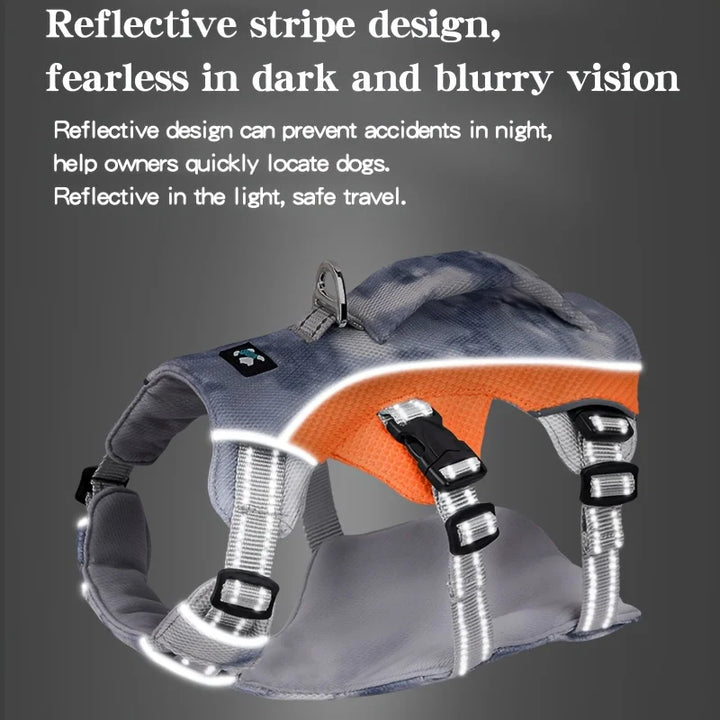 Harnais rafraîchissant chien : anti-traction doux & fraîcheur continue