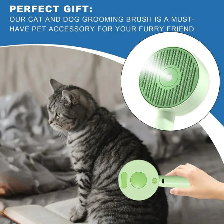 Brosse vapeur chien chat : l’art du toilettage devenu tendresse