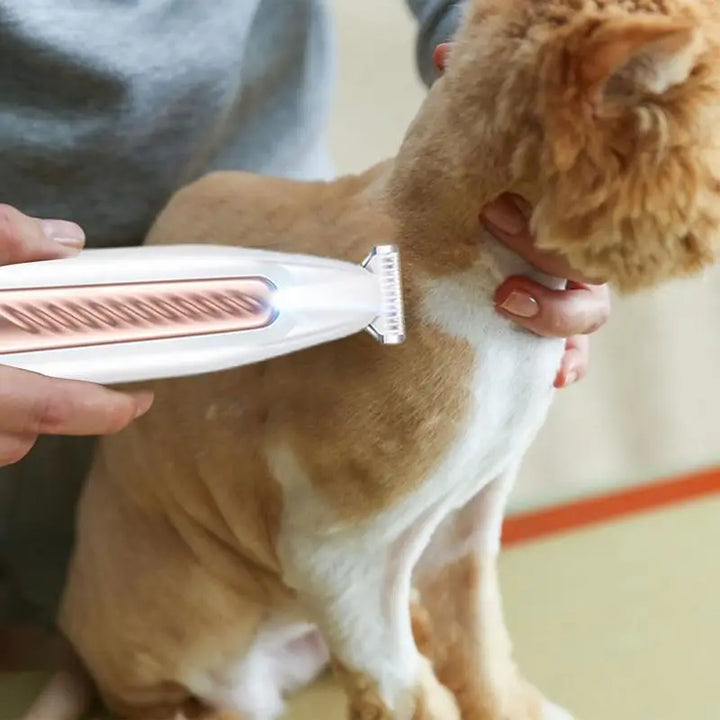 Tondeuse pattes chien & chat : douce, LED, sans stress