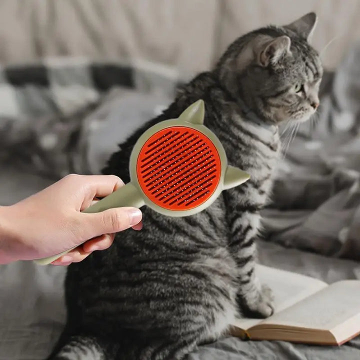 Brosse Autonettoyante Innovante - HautePattes