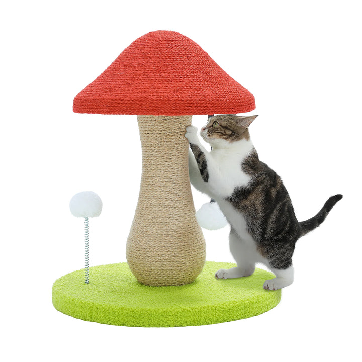 Griffoir Champignon pour Chat - HautePattes