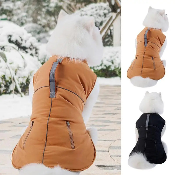 Manteau col roulé 4 pattes pour petit chien élégant