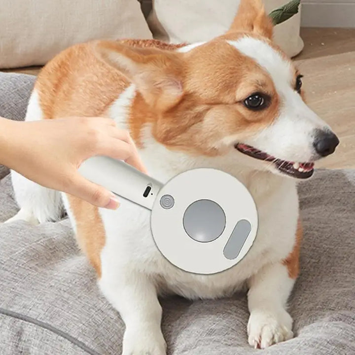 Brosse vapeur chien chat : l’art du toilettage devenu tendresse