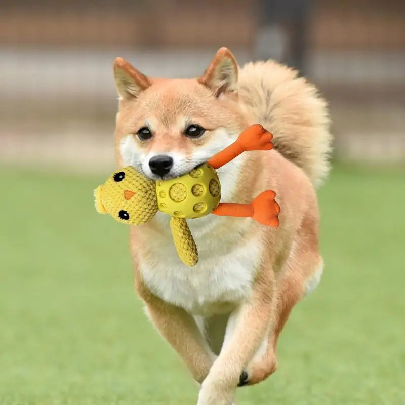 Jouet couineur pour chien Forme poussin - HautePattes