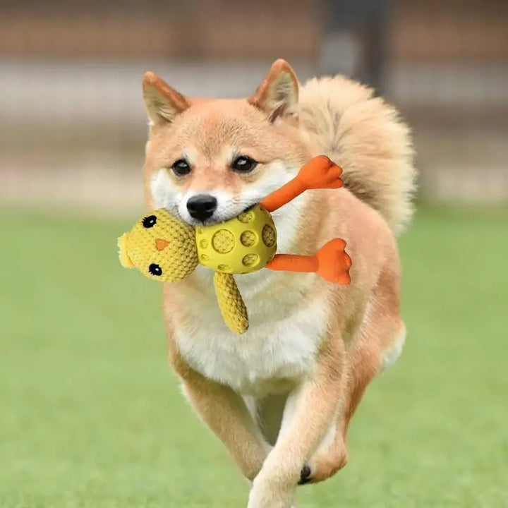 Jouet couineur pour chien Forme poussin - HautePattes