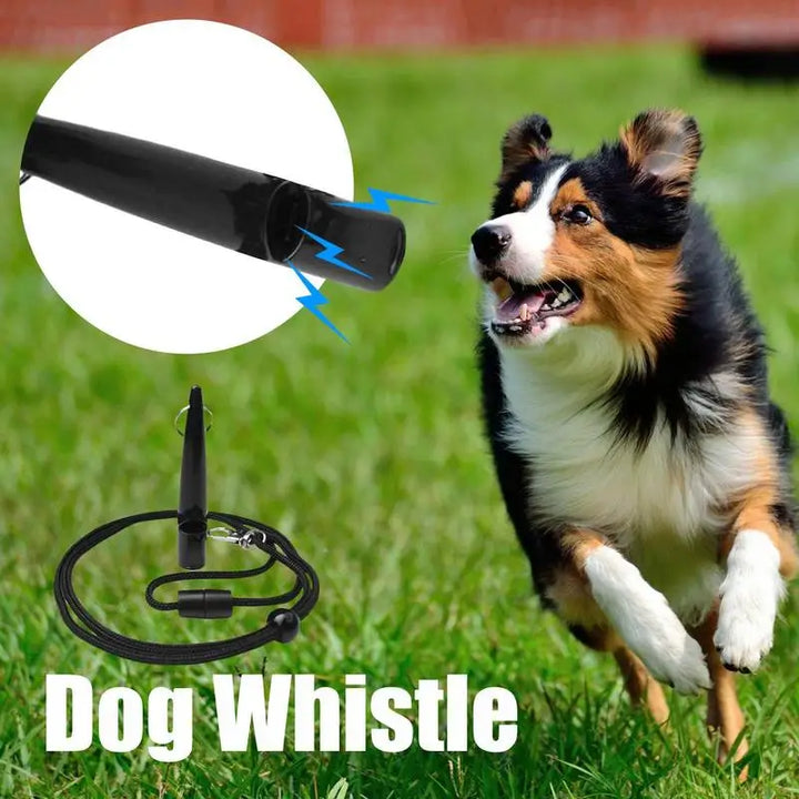 Sifflet de Dressage Portable – Sécurité & Obéissance pour Chien - HautePattes