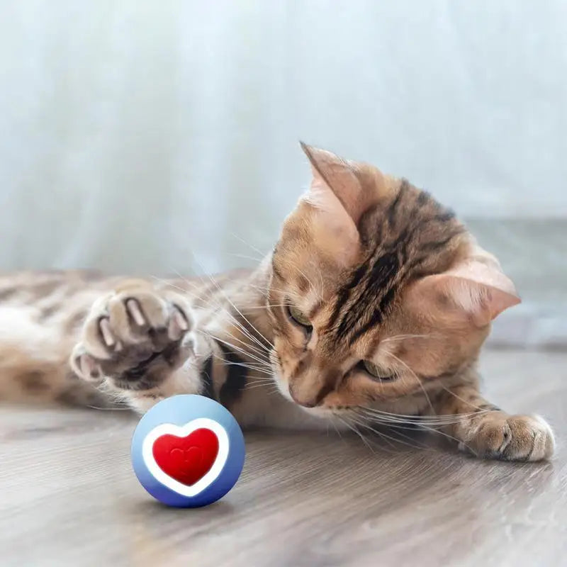 Balle rebondissante intelligente en forme de cœur - HautePattes