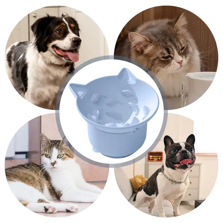 Gamelle à alimentation lente réglable Chat et Chien - HautePattes