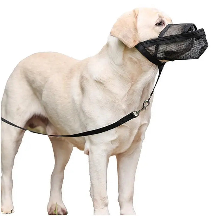 Muselière maille 2XL pour chien : maîtrise douce, confort total