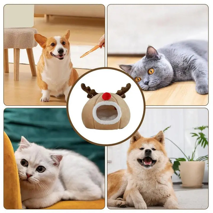 Lit de Noël pour chat en forme de tente douce et magique